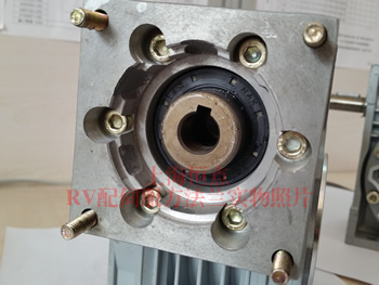 RV系列減速機配伺服方法蘭實物圖